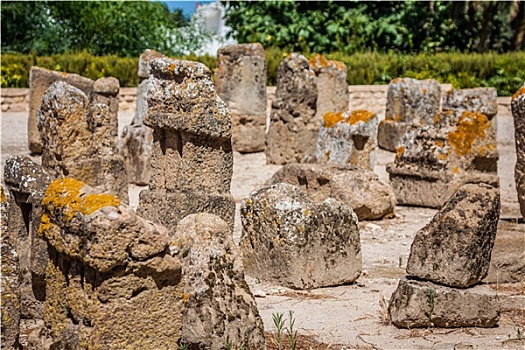 突尼斯,古老,迦太基,户外,区域,石碑