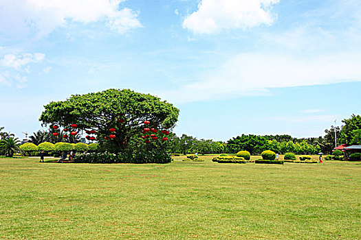 城市公园绿地风光