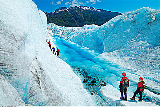 冰,攀登者,棉田豪冰河,阿拉斯加,美国