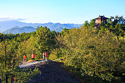 俯瞰,全景,山顶