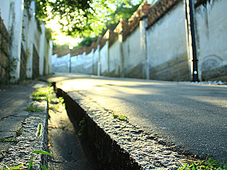 上学的小路