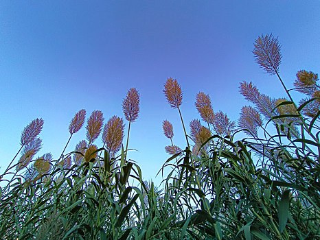 千岛湖风光,湖光山水