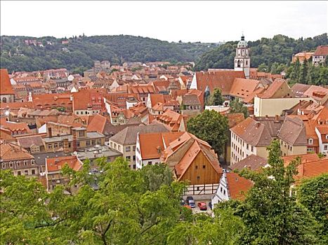 德国,易北河,城市,瓷器,城堡,世纪,物主,1260年,哥特风格,新,整修,屋顶