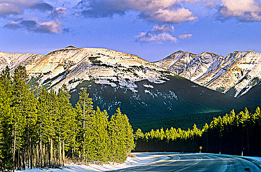 道路,积雪,山峦,卡纳纳斯基斯县,艾伯塔省,加拿大