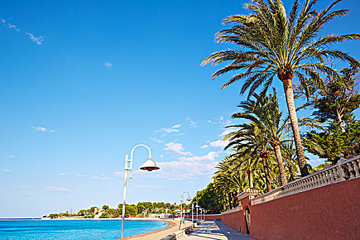 丹尼亚,棕榈树,海滩,阿利坎特,西班牙