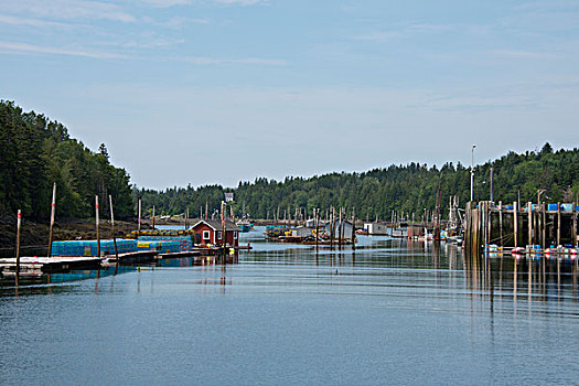 加拿大,新布兰斯维克,岛屿,港口,小湾,渔船,大幅,尺寸
