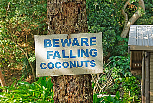 警告标识,棕榈树,落下,椰树,斐济,大洋洲