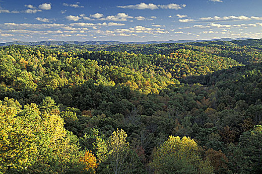 美国,肯塔基,秋天,州立公园,风景