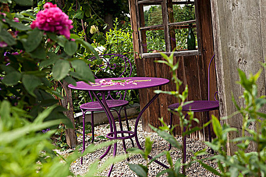 紫色,金属,花园桌,椅子