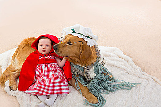 婴儿,小红色帽衫,狼,狗,衣服,奶奶,金毛猎犬