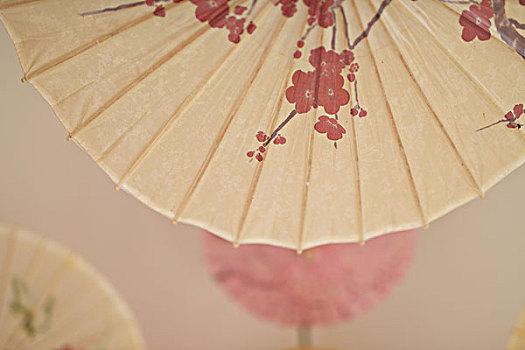 花伞,纸伞,传统,中国,日本
