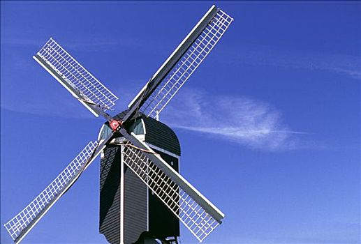 荷兰,全景,风车