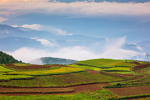 东川红土地的光,景,人