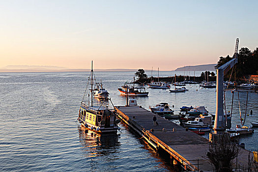 渔港,渔船,伊斯特利亚,克罗地亚,欧洲