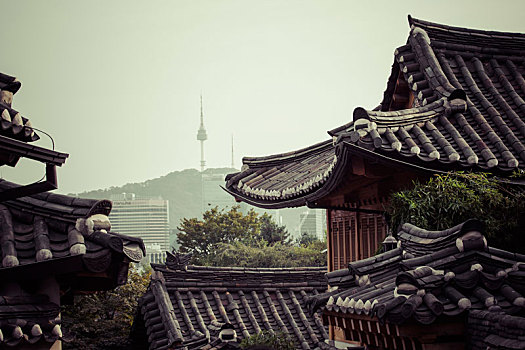乡村,一个,名胜,韩国人,传统,房子,首尔,韩国