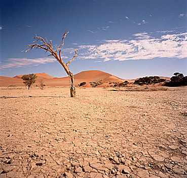 沙漠,索苏维来地区,纳米布沙漠,纳米比亚