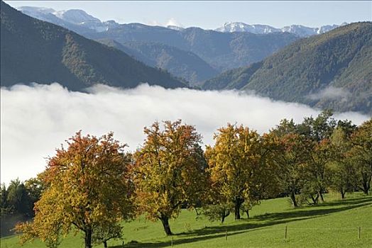 雾,国家公园,上奥地利州,欧洲