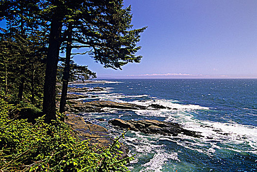 环太平洋国家公园,西海岸小径,海岸线,远景,温哥华岛,不列颠哥伦比亚省,加拿大