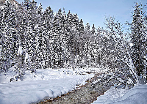 冬天,特拉维夫,国家公园
