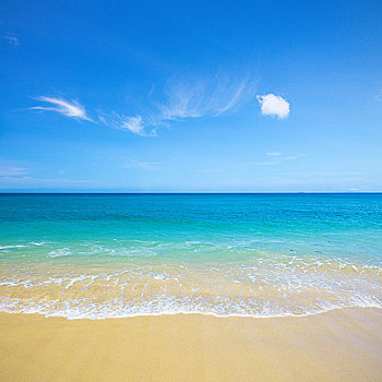 海滩,漂亮,热带,海洋