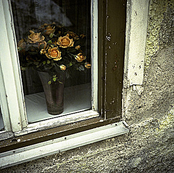 橙色,玫瑰,花瓶,坐,窗户,窗台,室内,老,风化,房子