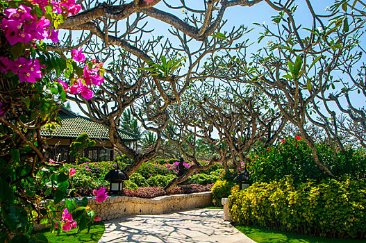 印尼峇里岛渡假胜地,美丽的建筑与花园