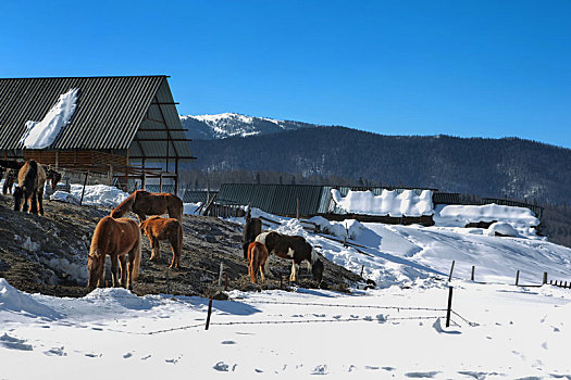 冬季小镇雪景