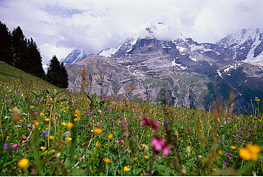少女峰,伯尔尼阿尔卑斯山,瑞士