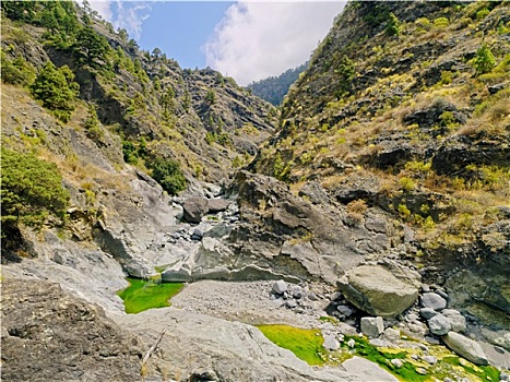 火山口,国家公园,帕尔玛