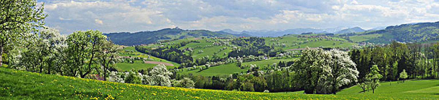 风景,莫斯托格,下奥地利州,奥地利