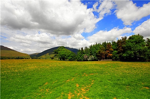 漂亮,乡村,风景,湖区