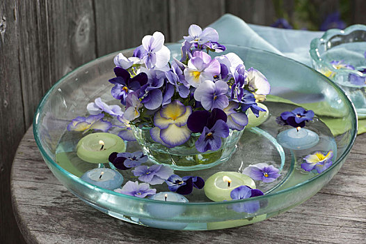 角堇,紫色,浮水蜡烛,玻璃碗
