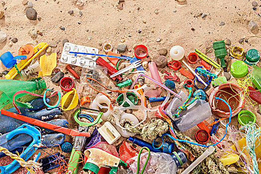 丢弃,污染,塑料制品,垃圾,沙滩,收集,海滩,东北方,英格兰,英国