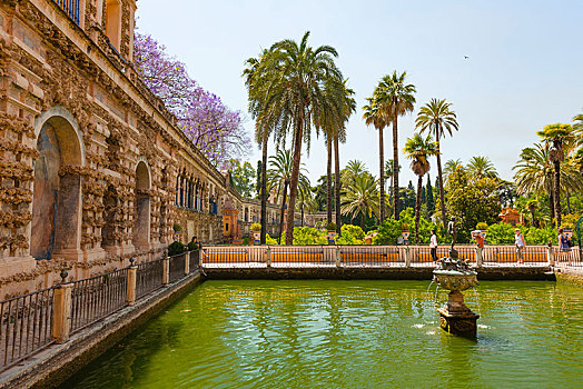 花园,棕榈树,城堡,皇宫,塞维利亚,西班牙,欧洲