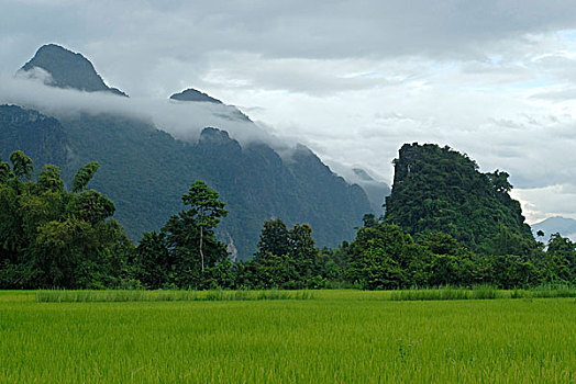 稻米,地点,多云,喀斯特地貌,山峦,老挝,东南亚