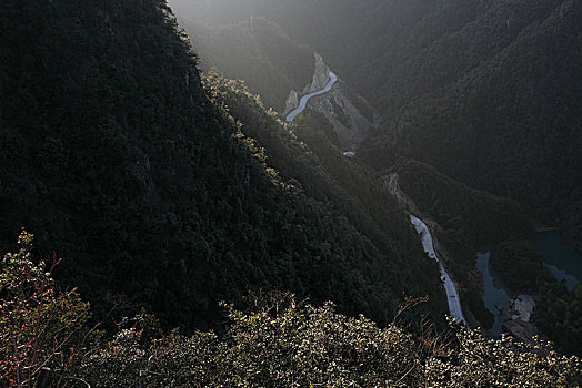 浙江,金华,武义,牛头山森林公园,景区,小溪,绿水,土屋