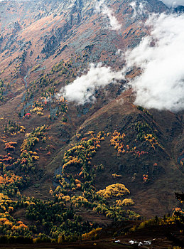 北疆秋天的山