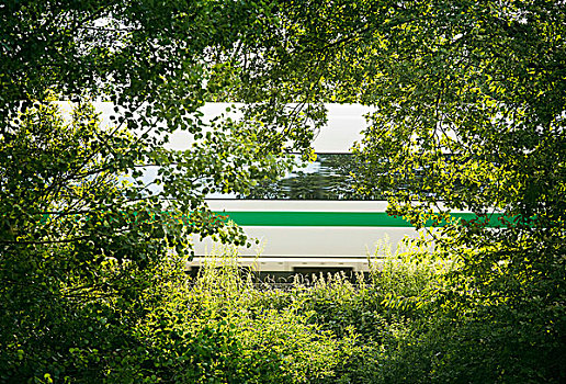 列车,风景,树