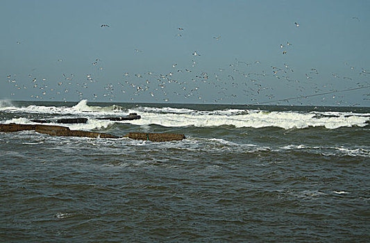 海滨风景