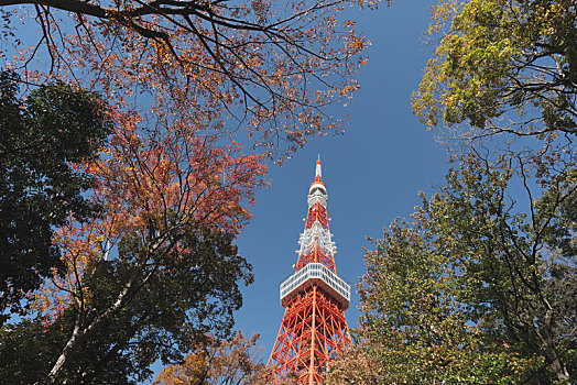 日本东京塔