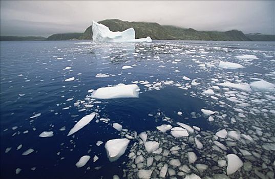 冰山,分手,片,冰,漂浮,融化,夏末,季节,峡湾,纽芬兰,加拿大