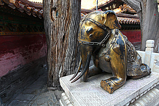 鎏金铜象,御花园,故宫,中国,北京,全景,地标,传统