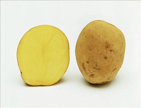 土豆,品种,横断面
