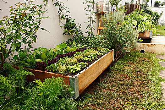 蔬菜,床,木质,墙壁
