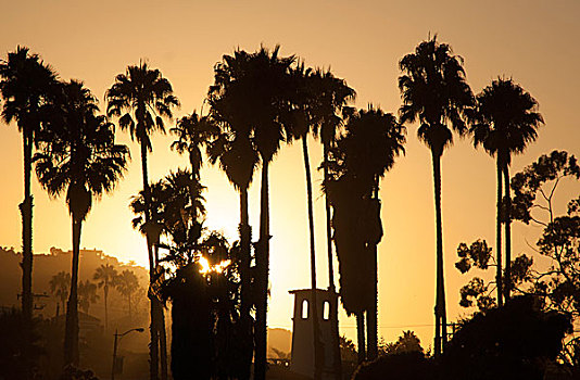 美国,加利福尼亚,圣芭芭拉,日落,风景,棕榈树