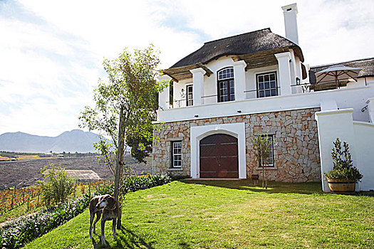 风景,房子,花园,葡萄酒厂,南非