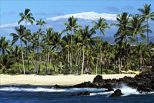 夏威夷,夏威夷大岛,海滩,积雪,莫纳克亚,后面,棕榈树