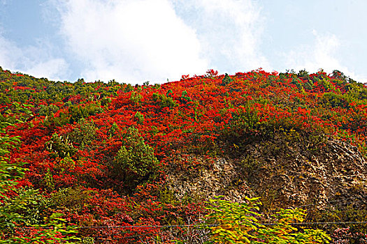 陕西凤县秦岭