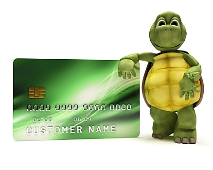 龟,信用卡
