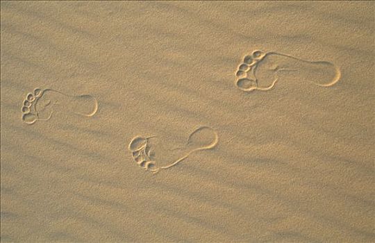 脚印,沙子,利比亚